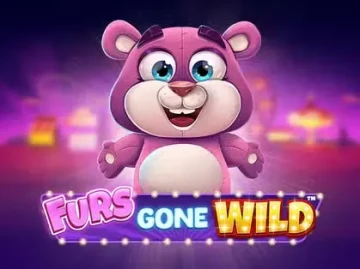 Winnita Casino screenshot